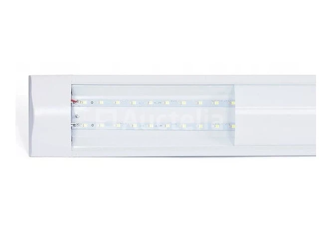 100 led lampen 120 cm 36w - afbeelding 2 van  3