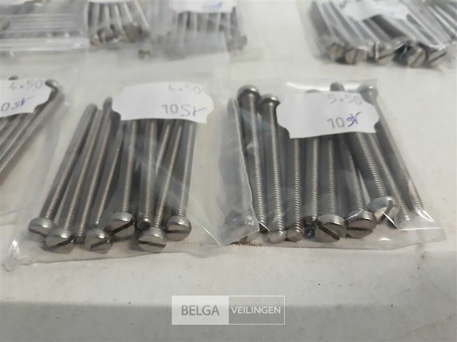 100 x metaalvijs inox 50 mm - afbeelding 3 van  3