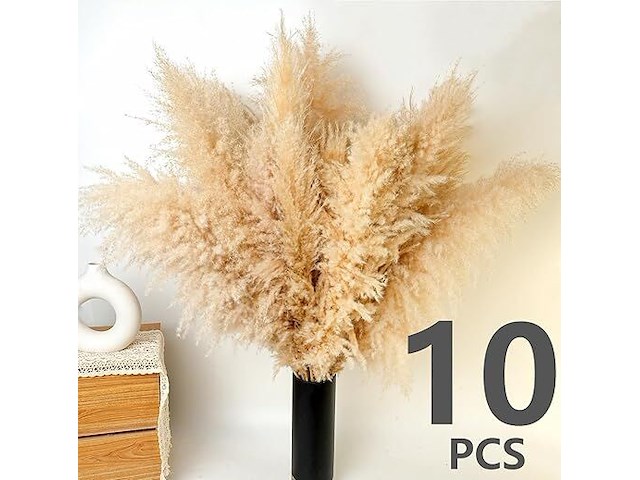 100x pack pampasgras - afbeelding 1 van  3
