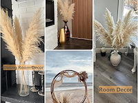 100x pack pampasgras - afbeelding 2 van  3