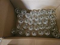 100x theetas op voet met oor