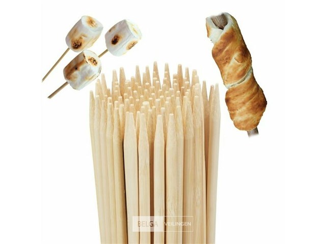 100xvleesspies - afbeelding 1 van  5