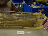 10x 2in 1 ruggenkrabber en schoenaantrekkers - afbeelding 3 van  3