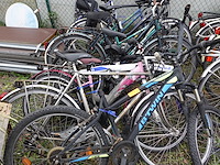 10x diverse fietsen - afbeelding 3 van  7