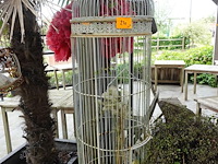 10x diverse vogelkooi - afbeelding 3 van  3