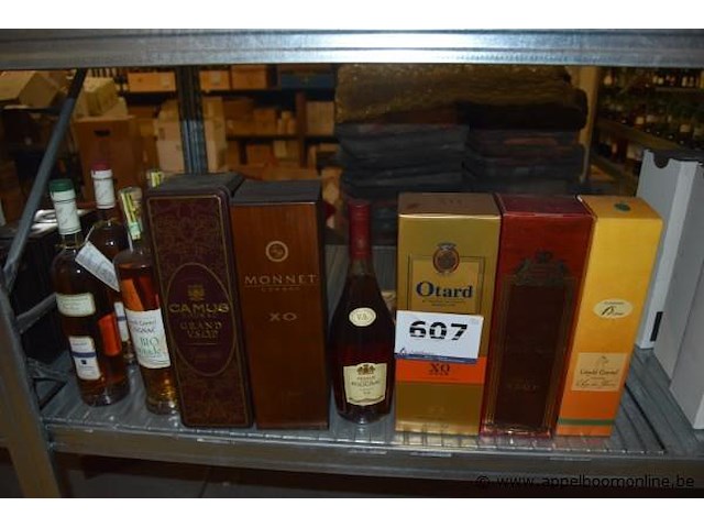 10x fles/doos sterke drank, wo. armagnac producteur d'armagnac vsop, cognac: leopold gourmel bio, camus vsop, monnet xo, prince polignac vs, otard xo gold, prince hubert de polignac vsop, leopold gourmel age des fleurs; eau de vie liqueur carrel poire - afbeelding 1 van  5