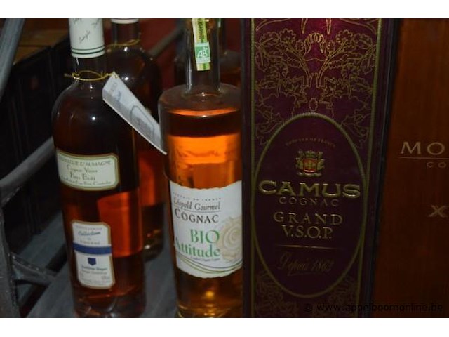 10x fles/doos sterke drank, wo. armagnac producteur d'armagnac vsop, cognac: leopold gourmel bio, camus vsop, monnet xo, prince polignac vs, otard xo gold, prince hubert de polignac vsop, leopold gourmel age des fleurs; eau de vie liqueur carrel poire - afbeelding 2 van  5