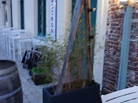 10x kunststof bloembak + verlichting - afbeelding 3 van  10