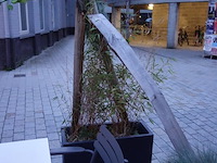 10x kunststof bloembak + verlichting - afbeelding 6 van  10