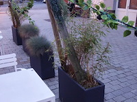 10x kunststof bloembak + verlichting - afbeelding 8 van  10