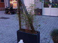 10x kunststof bloembak + verlichting - afbeelding 10 van  10