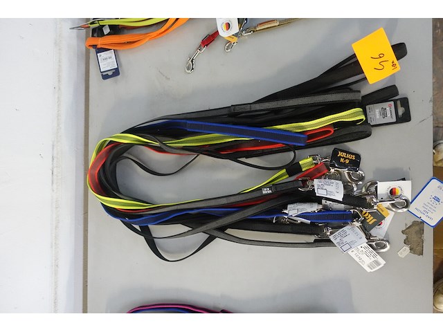 10x leiband - afbeelding 2 van  3