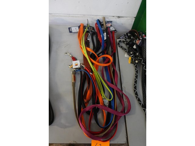 10x leiband - afbeelding 1 van  3