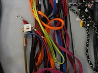 10x leiband - afbeelding 1 van  3