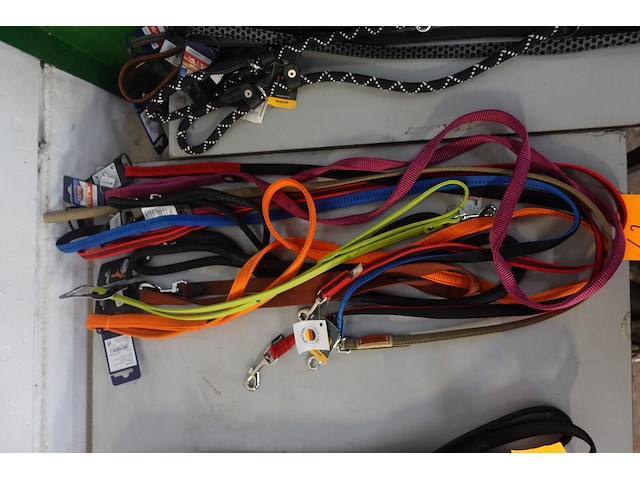 10x leiband - afbeelding 2 van  3