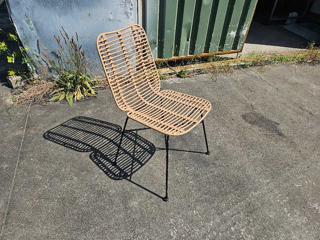 10x rotan stoel stapelbaar flexfurn palm - afbeelding 1 van  4