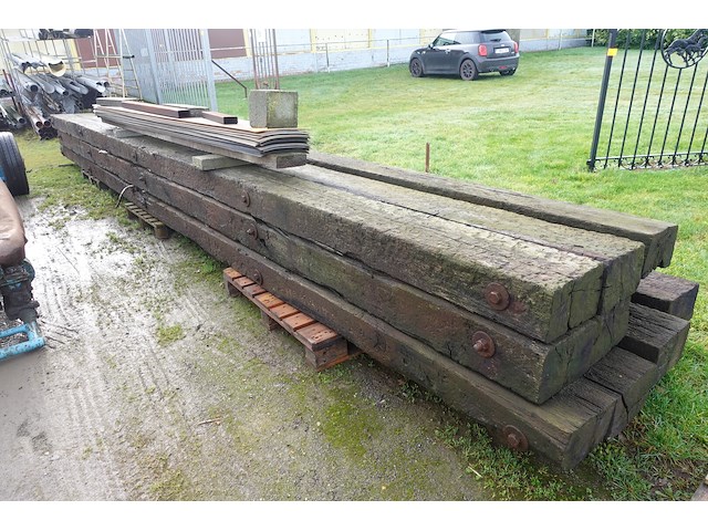 10x treinbilzen - afbeelding 1 van  4