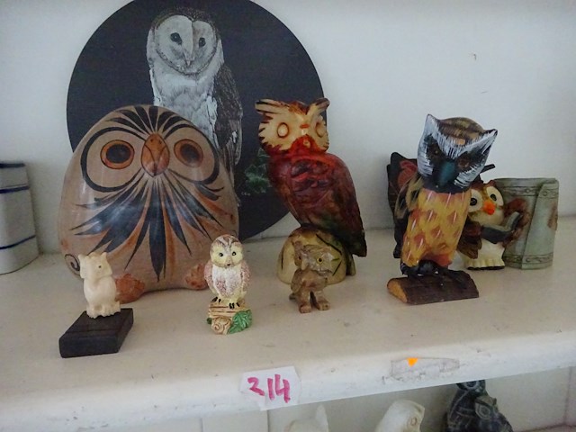 10x uil - afbeelding 1 van  2