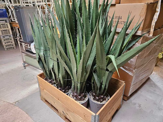10x yucca kunstplant - afbeelding 3 van  4
