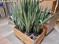 10x yucca kunstplant - afbeelding 3 van  4