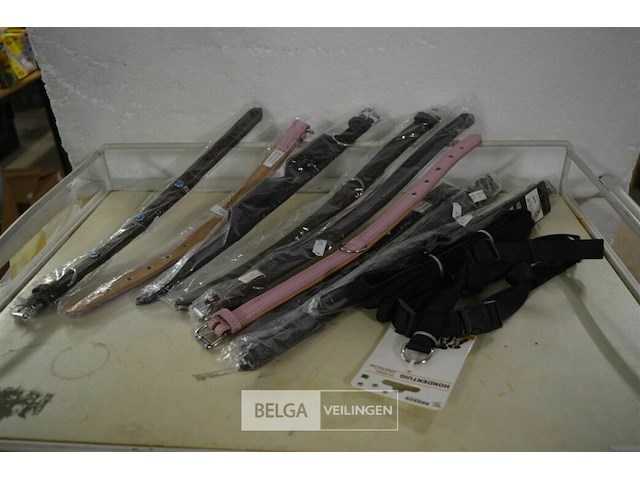 ±11 div hondenriemen - afbeelding 1 van  3