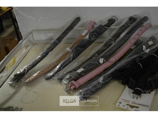 ±11 div hondenriemen - afbeelding 2 van  3