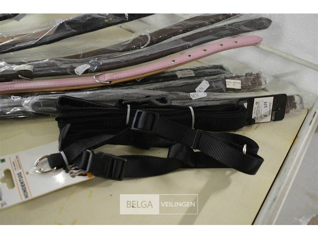 ±11 div hondenriemen - afbeelding 3 van  3