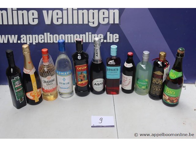11 flessen diverse sterke dranken - afbeelding 1 van  3