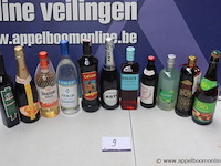 11 flessen diverse sterke dranken - afbeelding 1 van  3