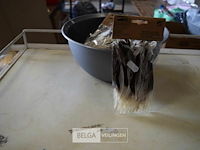 11 pakjes deco veertjes - afbeelding 1 van  2