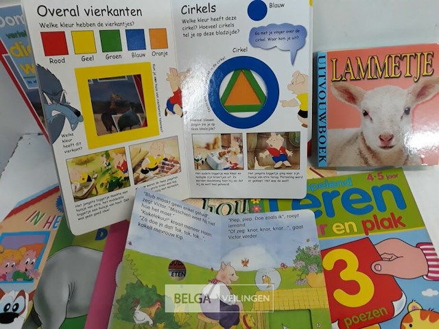 11 x kleuter leer en lees boekjes 11 assorti - afbeelding 3 van  3