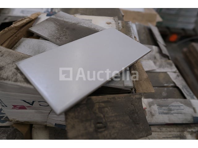 1100 tegels 20x10 cinca - afbeelding 4 van  5