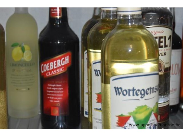11x fles sterke drank, wo. 1x limoncello pallini 70cl, 1x coebergh classic 70cl, 3x wortegemsen 1l, 1x ketel 1 jenever 1l, barlow 70cl - afbeelding 2 van  4