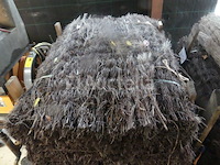 12 breezes view - afbeelding 2 van  5