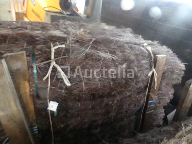 12 breezes view - afbeelding 5 van  5