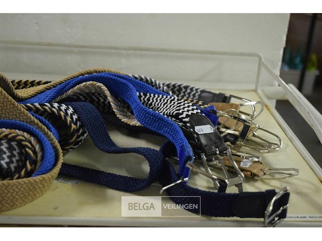 12 div riemen - afbeelding 2 van  2