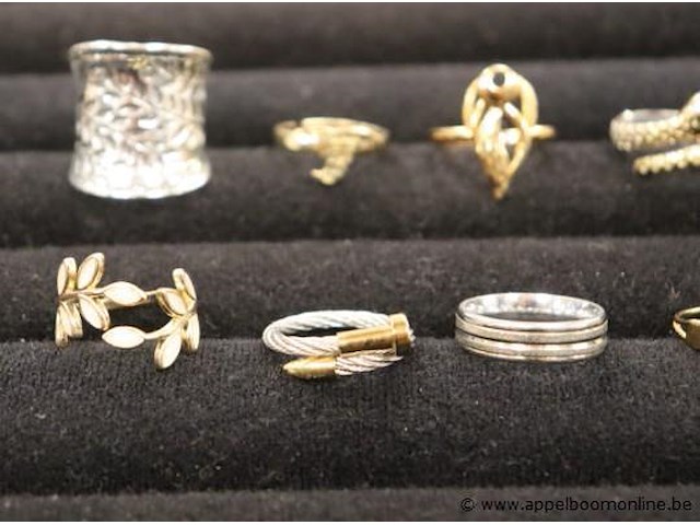 12 diverse ringen - afbeelding 2 van  5