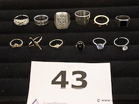 12 diverse ringen
