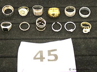 12 diverse ringen