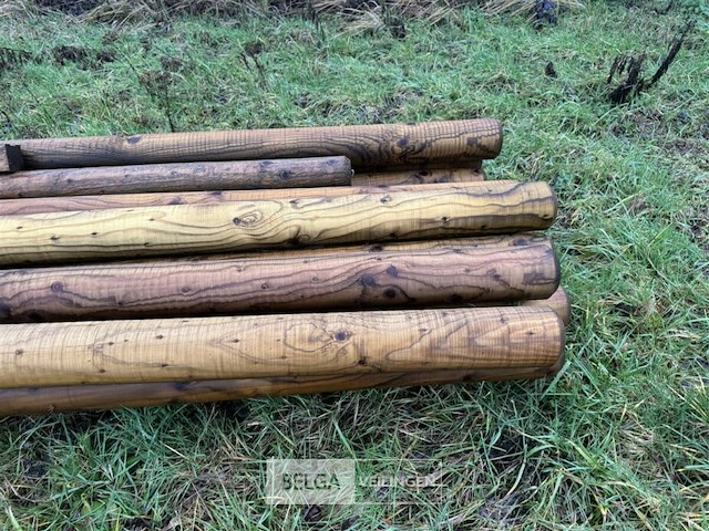 ± 12 houten palen ± 5.00m lengte - afbeelding 3 van  7