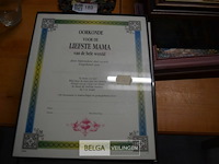 12 ingekaderde oorkondes - afbeelding 1 van  2