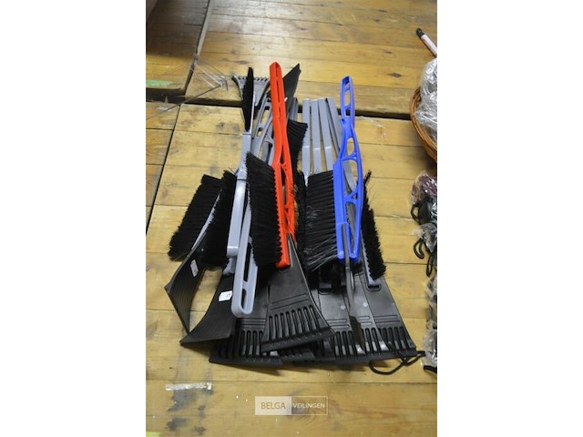 ±12 lange ijskrabbers - afbeelding 1 van  3