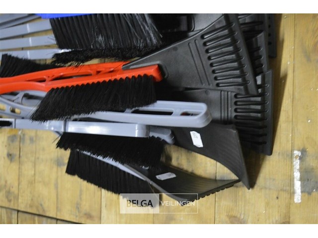 ±12 lange ijskrabbers - afbeelding 2 van  3