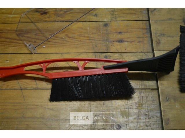 ±12 lange ijskrabbers - afbeelding 3 van  3