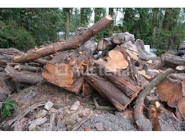 12 m² brandhout te kapen - afbeelding 7 van  10