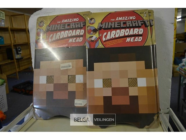 12 mine craft kartonnen hoofden - afbeelding 1 van  2