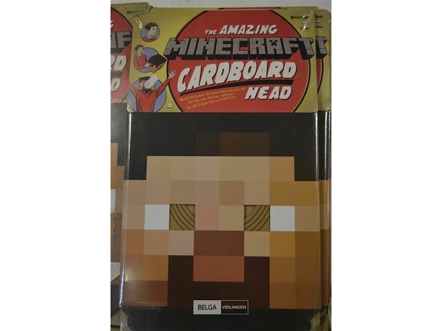 12 mine craft kartonnen hoofden - afbeelding 2 van  2