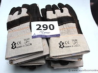 12 paar werhandschoenen artelli, m 10 - afbeelding 1 van  2