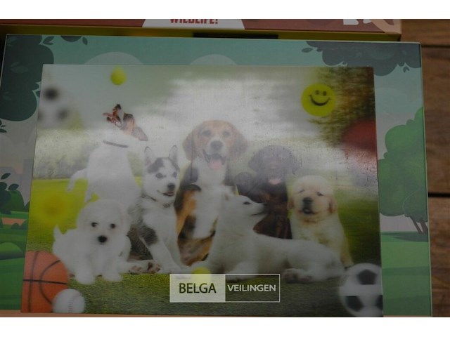 12 st 3d puzzels - afbeelding 6 van  7