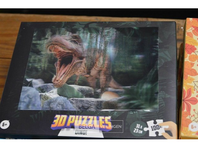 12 st 3d puzzels - afbeelding 3 van  7